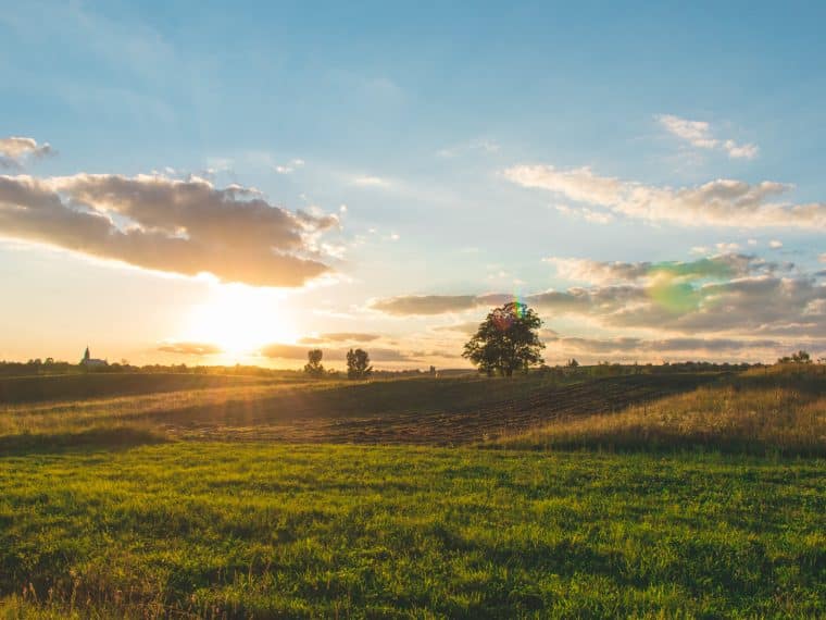 Sunrise landscape | How can ground protection be used in agriculture? 