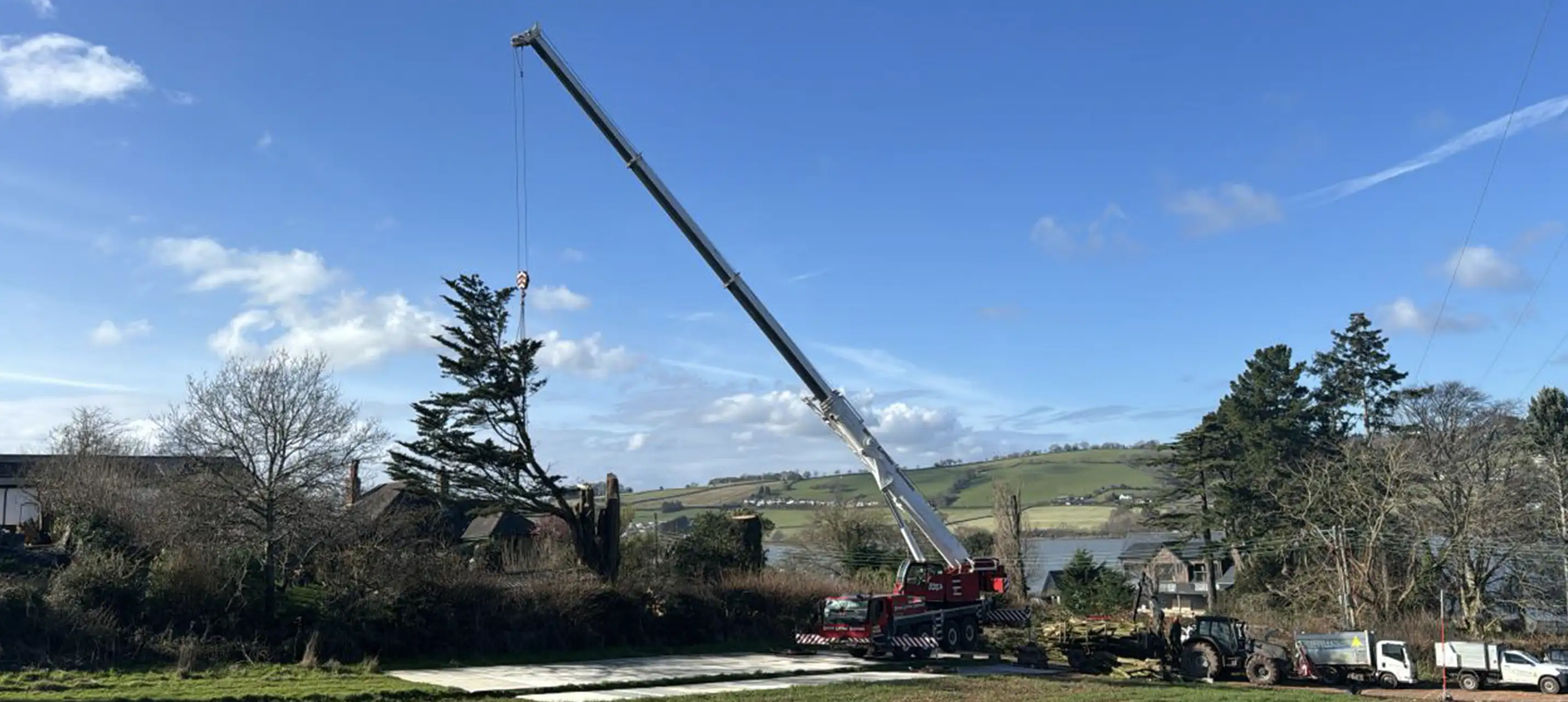 portable roadway tree removal